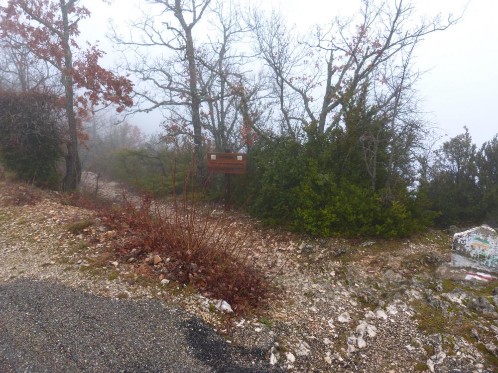 Juste à la traversée de la route, le sentier de descente vers les gorges de la Nesque