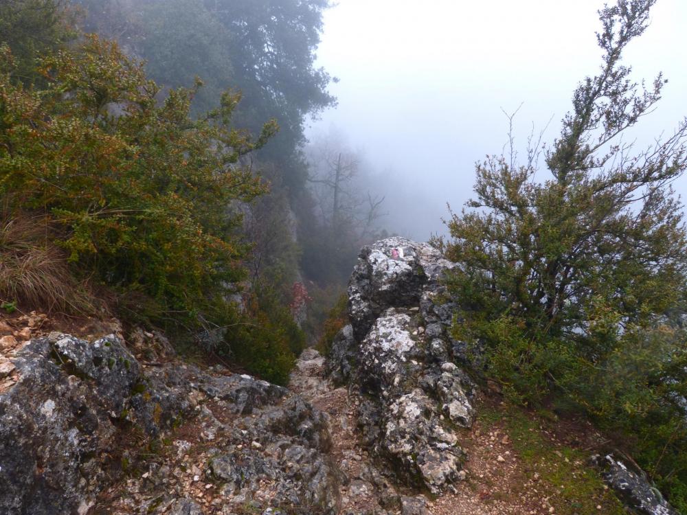 descente sportive dans les gorges de la Nesque et  ...le brouillard !