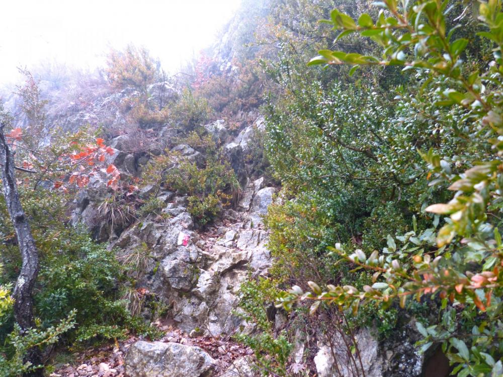 descente sportive dans les gorges de la Nesque  !