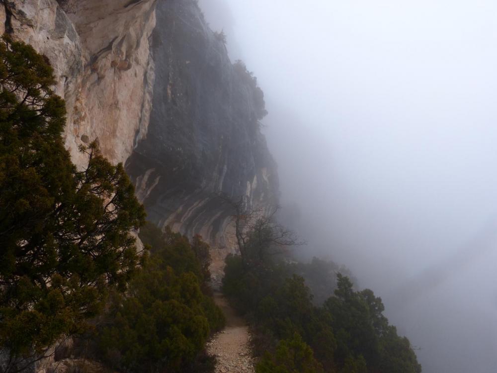 descente dans les gorges de la Nesque, on retrouve un sentier plus agréable  !