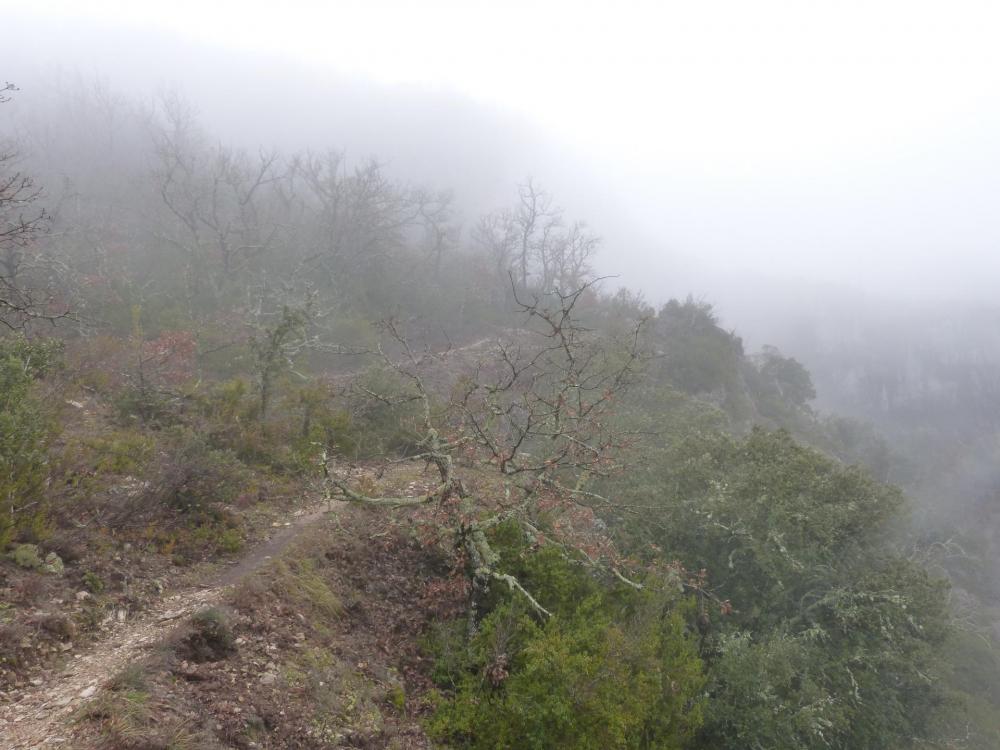 Sur le plateau opposé au dessus des gorges de la Nesque, le retour à gauche vers Monieux