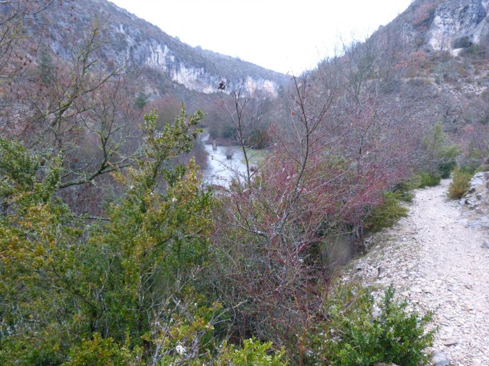 descente vers le début des gorges de la Nesque