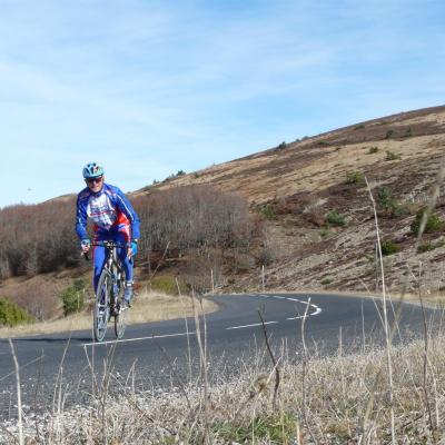 à l'approche du sommet du mont Aigoual (48)