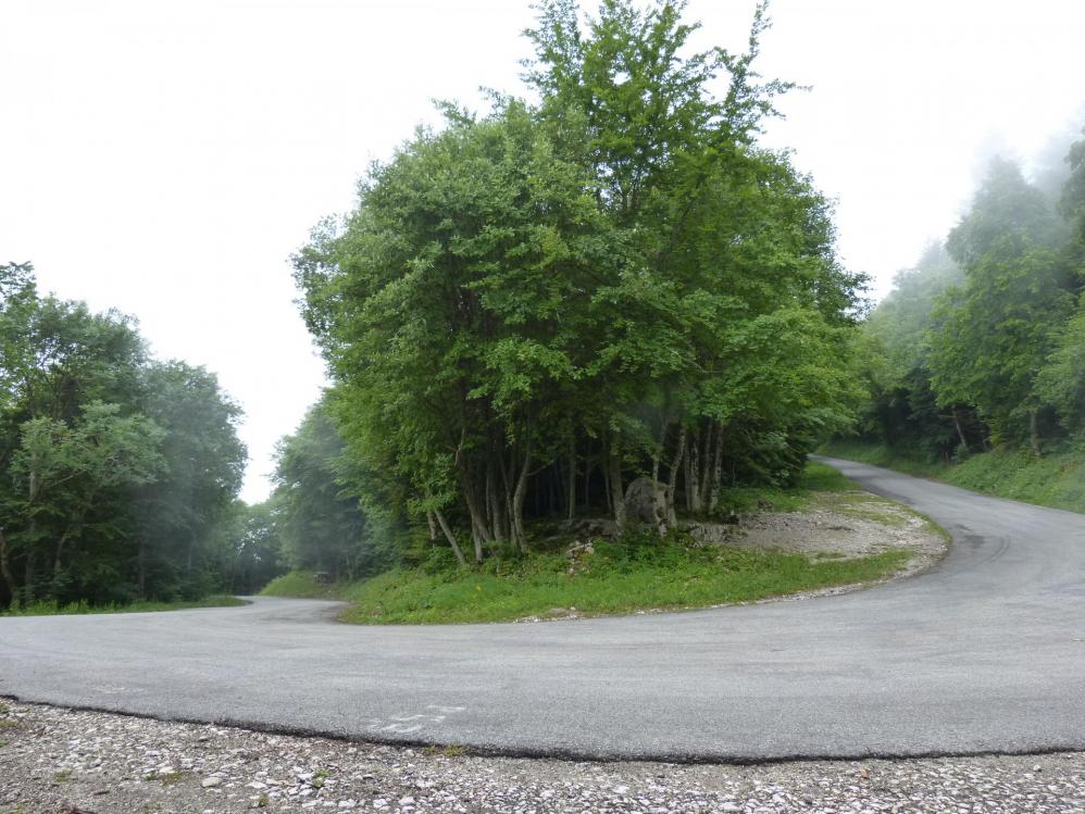 De jolis lacets en épingle dans la montée au relais du Chat De jolis lacets en épingle dans la montée au relais du Chat !
