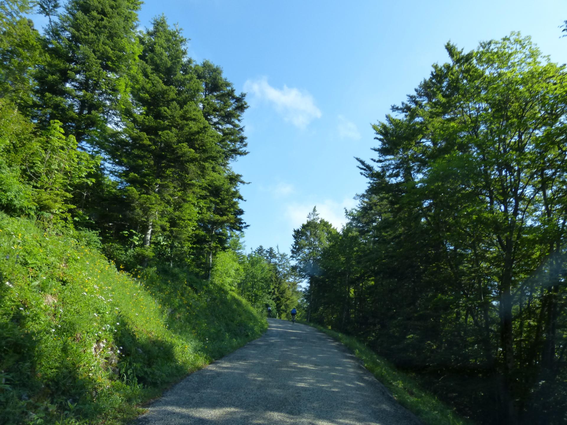 Montée à vélo du Relais du Chat depuis Bourget du Lac