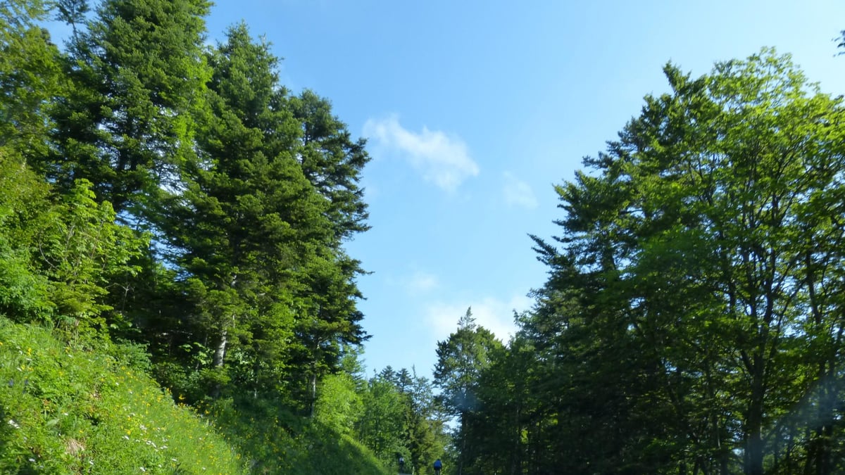 Dernier effort à l' approche du relais du Chat !