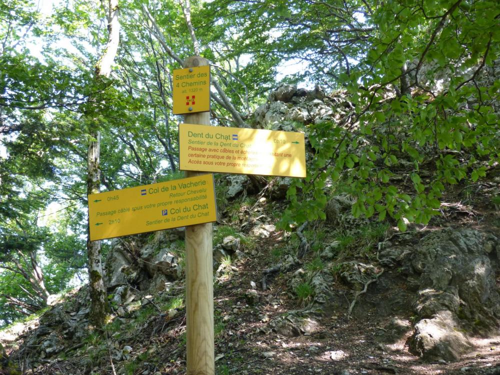 le carrefour avec l' autre chemin d' accès à la dent du chat par le col du chat .