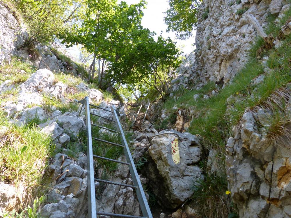 La dent du chat, les échelles