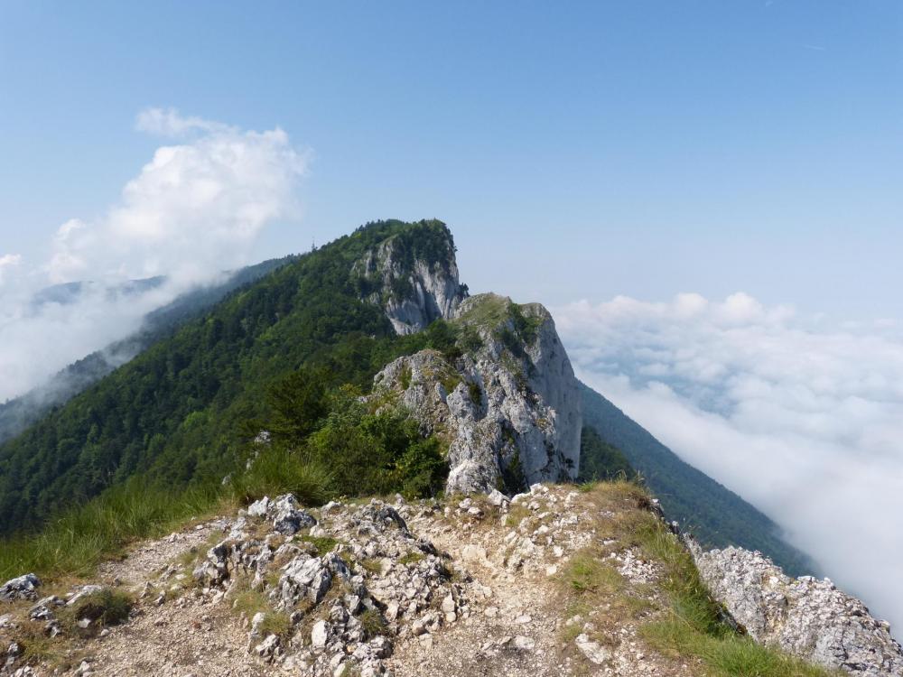 Vue sur le Molard depuis la dent du Chat