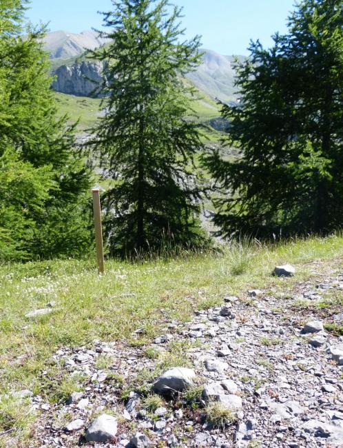 Via de Rouanne, poteau indicateur de la direction à prendre pour redescendre !