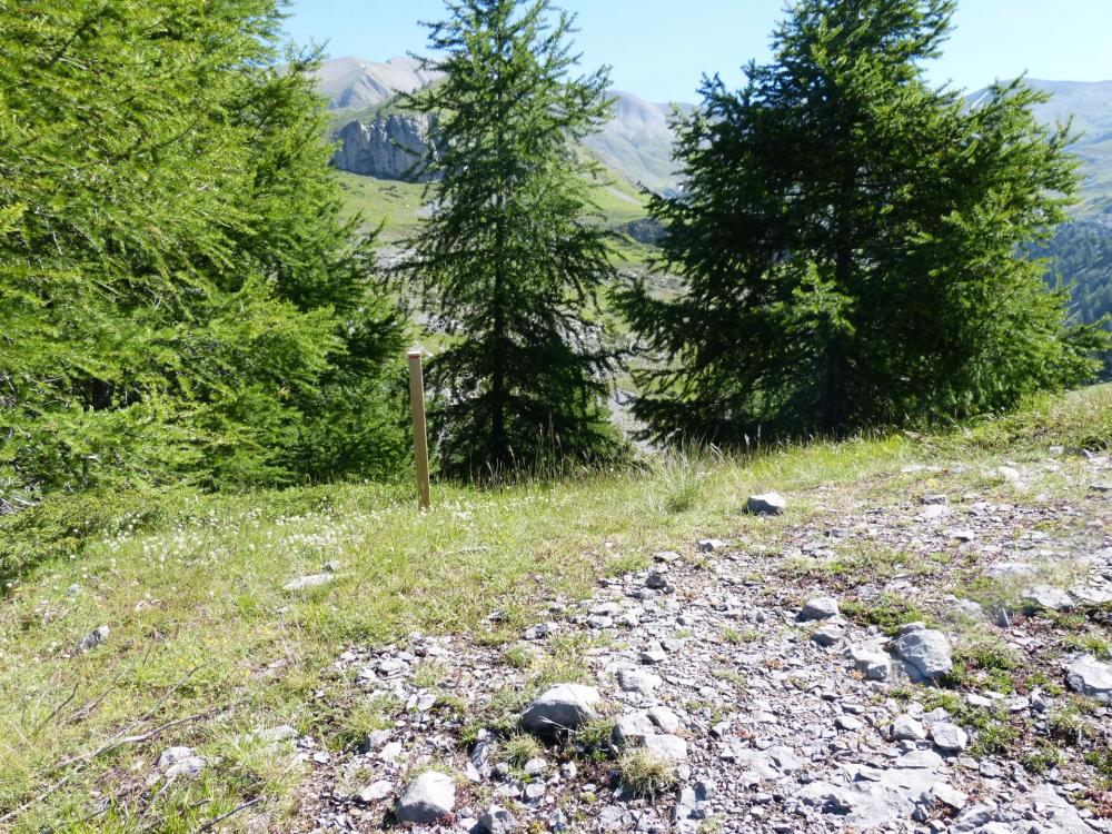 Via de Rouanne, poteau indicateur de la direction à prendre pour redescendre !