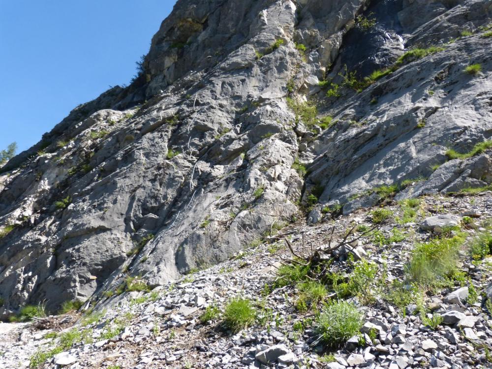 le départ de la bleue à la via de Rouanne à Ancelle