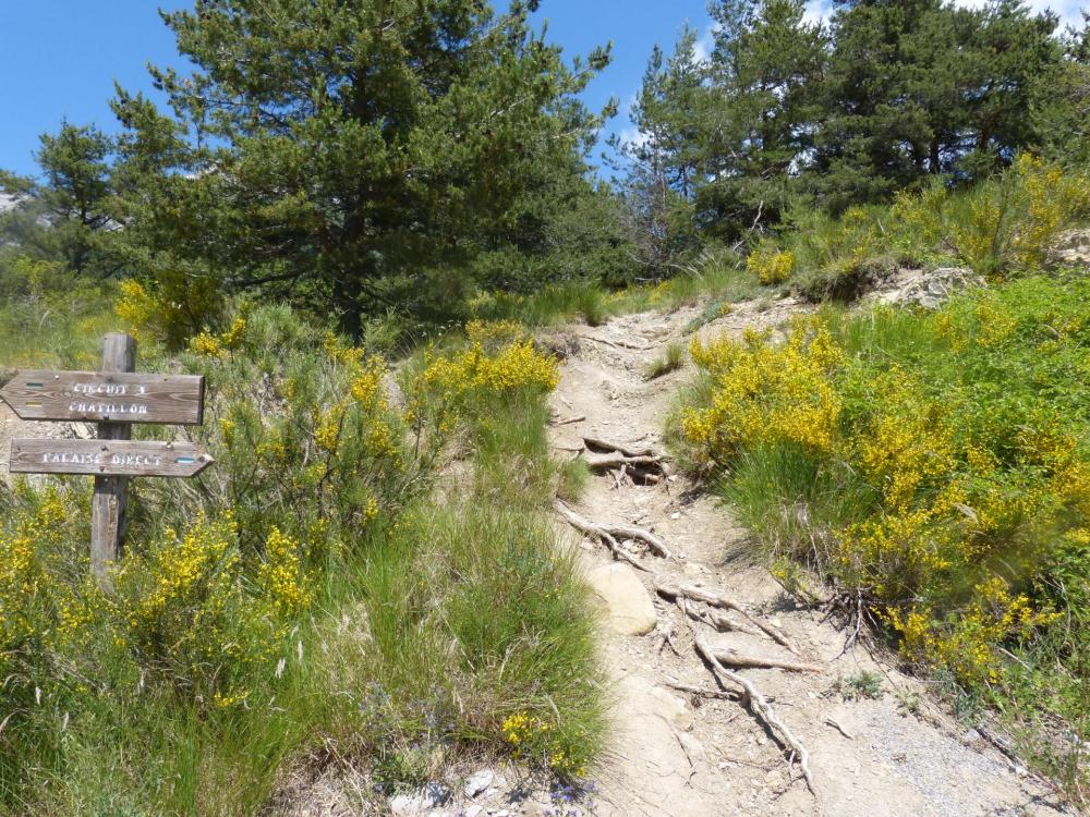 départ du sentier au parking du col des Guérins