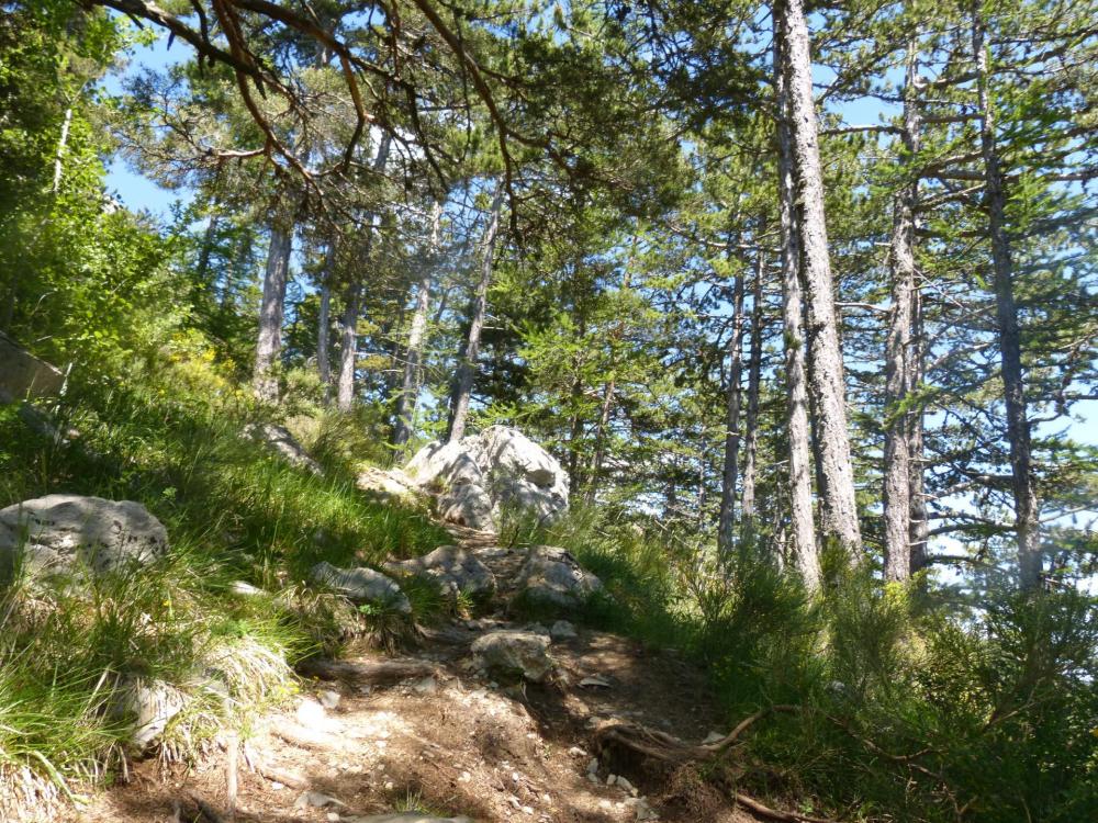 le sentier d'accès direct à la falaise de Céüze