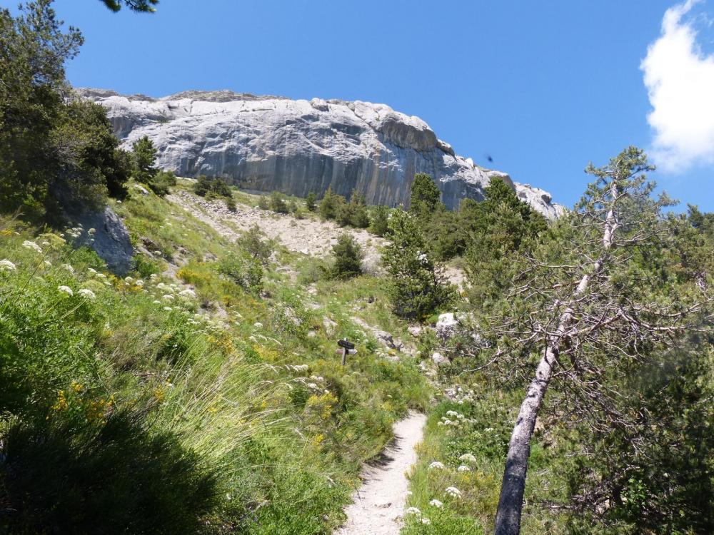 Le sentier à l' approche de la falaise de Céüze