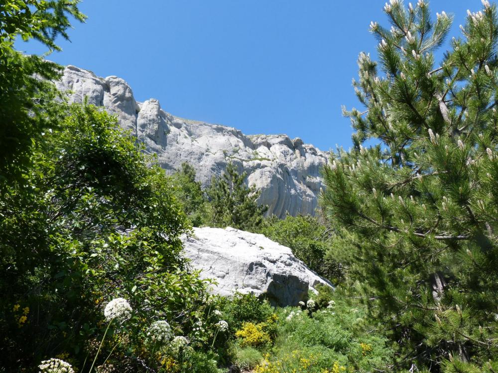 La falaise de Céüze, encore quelques mètres !