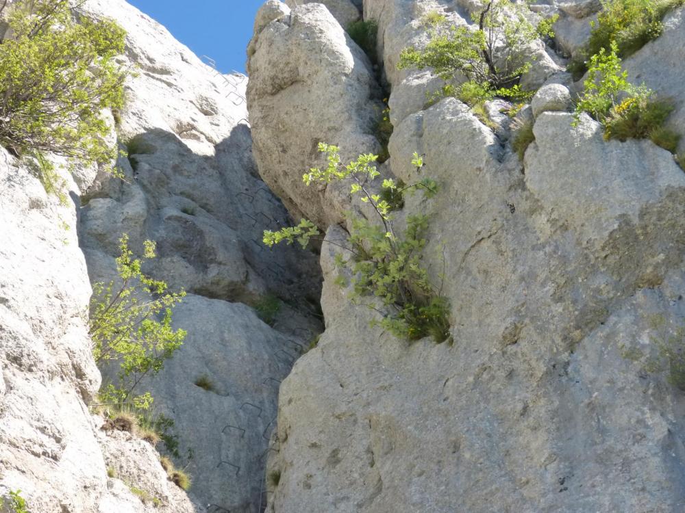 Via ferrata de Céüze