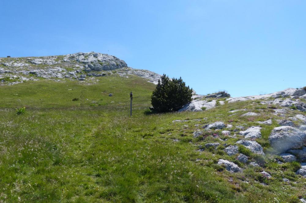 Vers le pic de Céüze en suivant l' arête