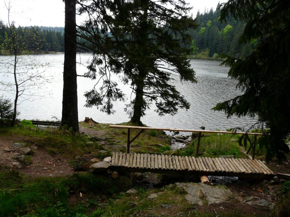 Le lac vert pas très loin du Tanet - Schlucht (88)