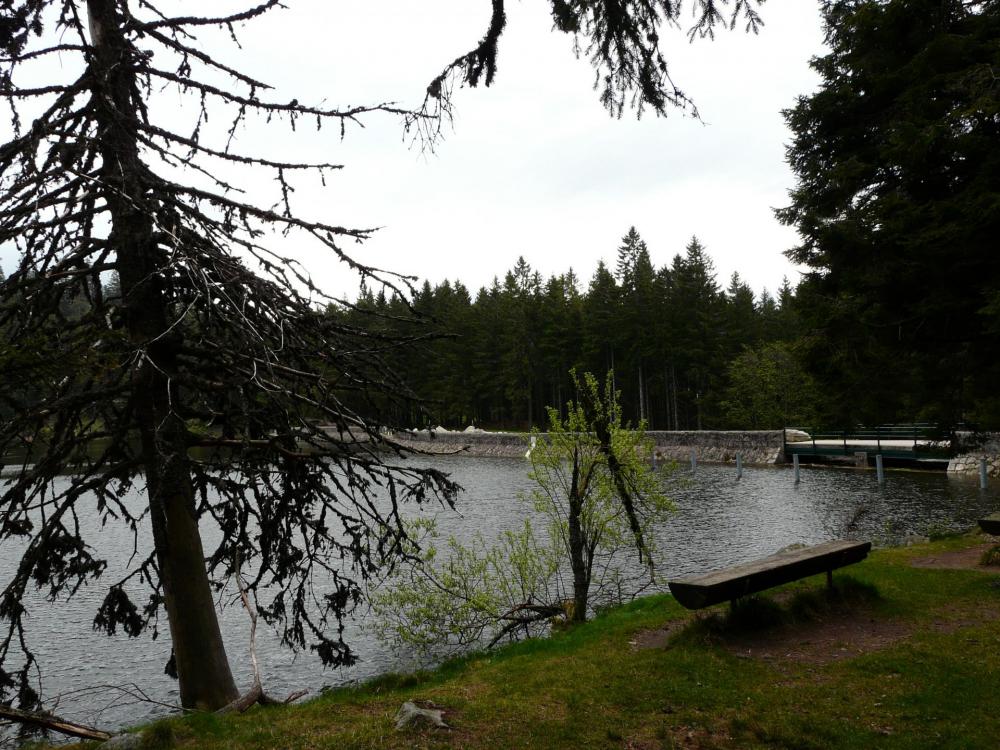 le barrage du lac vert