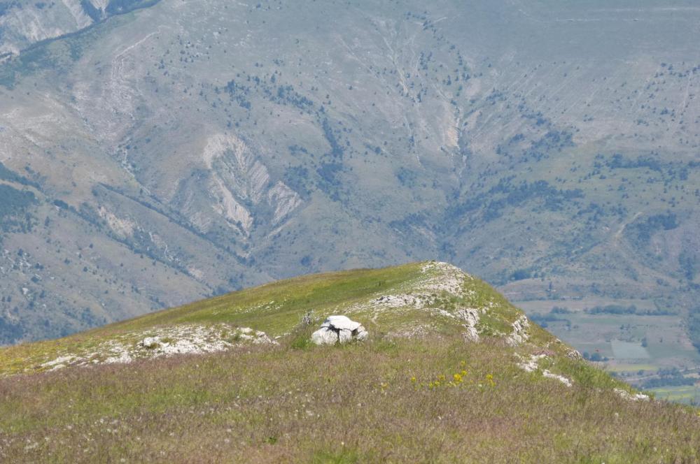 La descente vers Pellautier et le pas du loup