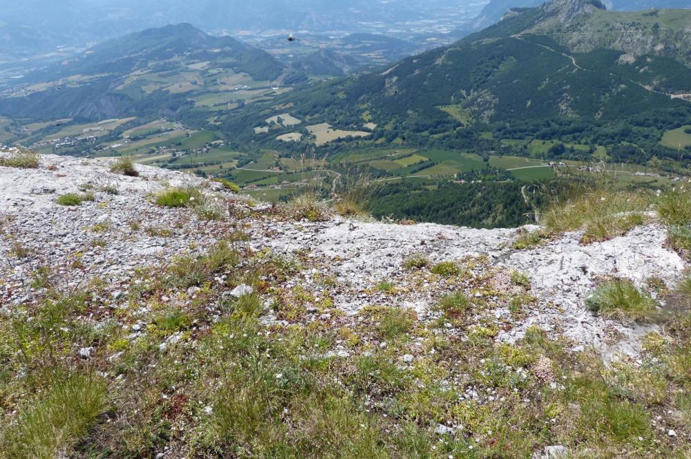 On peut distinguer les ancrages des sortie de voies d'escalade