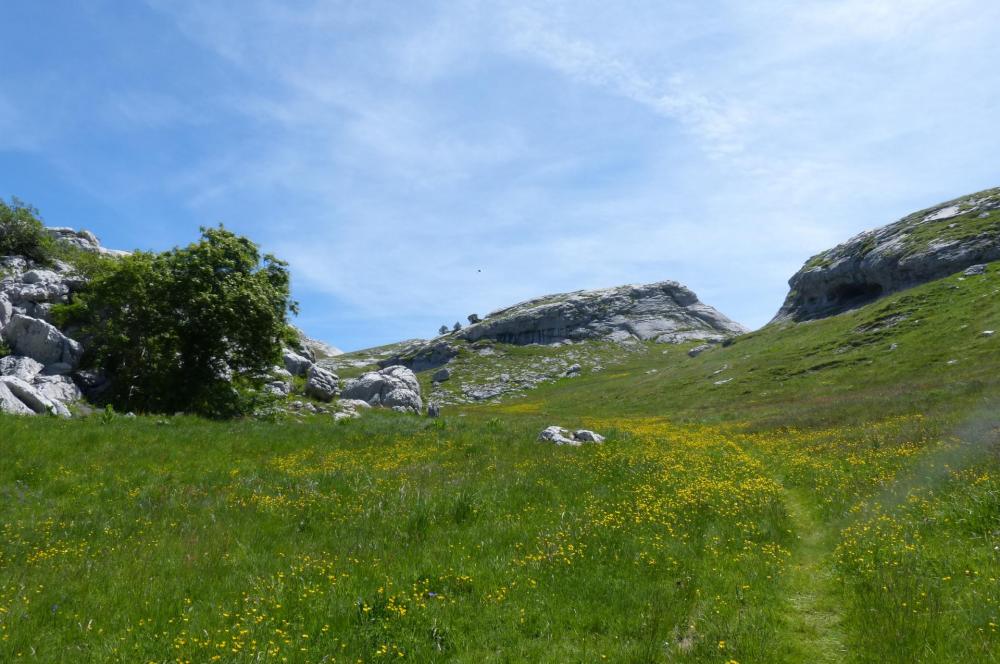 Reedscente vers le col des Guérins en prenant le vallon d'Aiguebelle qui suit en parallèlle la corniche