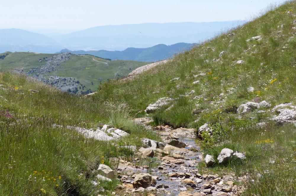 Le même ruisseau un peu plus haut