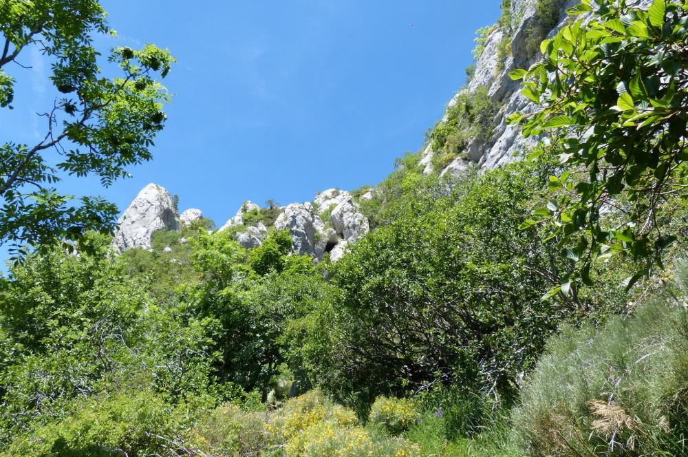 Vue rétro sur la sente de descente de la cascade (accès au pic de Céüze par le couloir ouest