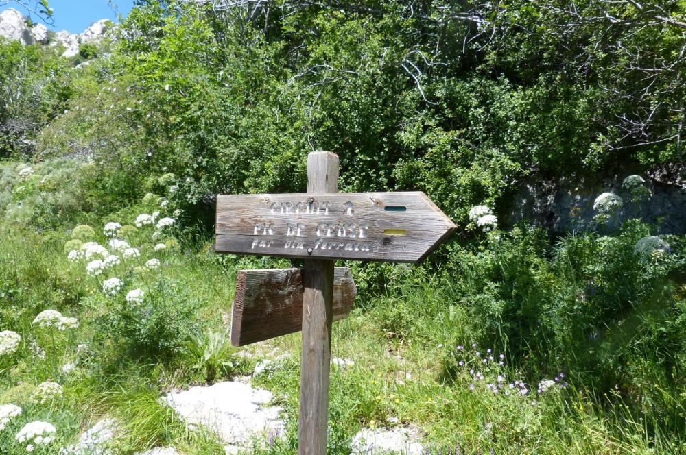 On retrouve le sentier qui mène à la via ferrata et au sentier du pas du loup