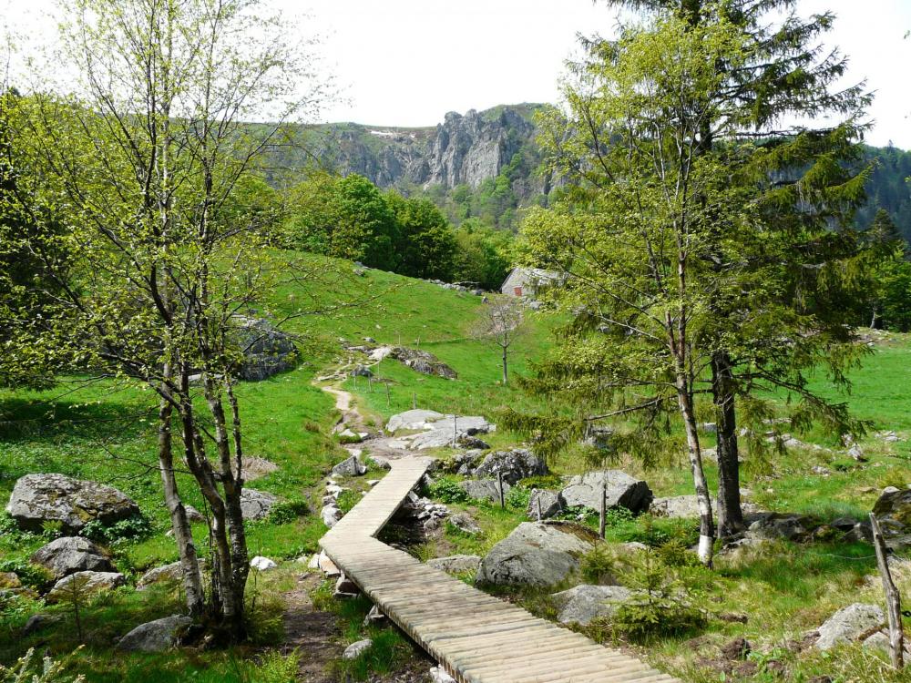 l'aménagement du sentier au frankental (hohneck - 88)