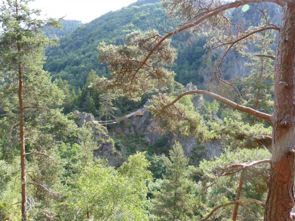 Via enfant de Planfoy - vue d'ensemble depuis le départ de la via adulte