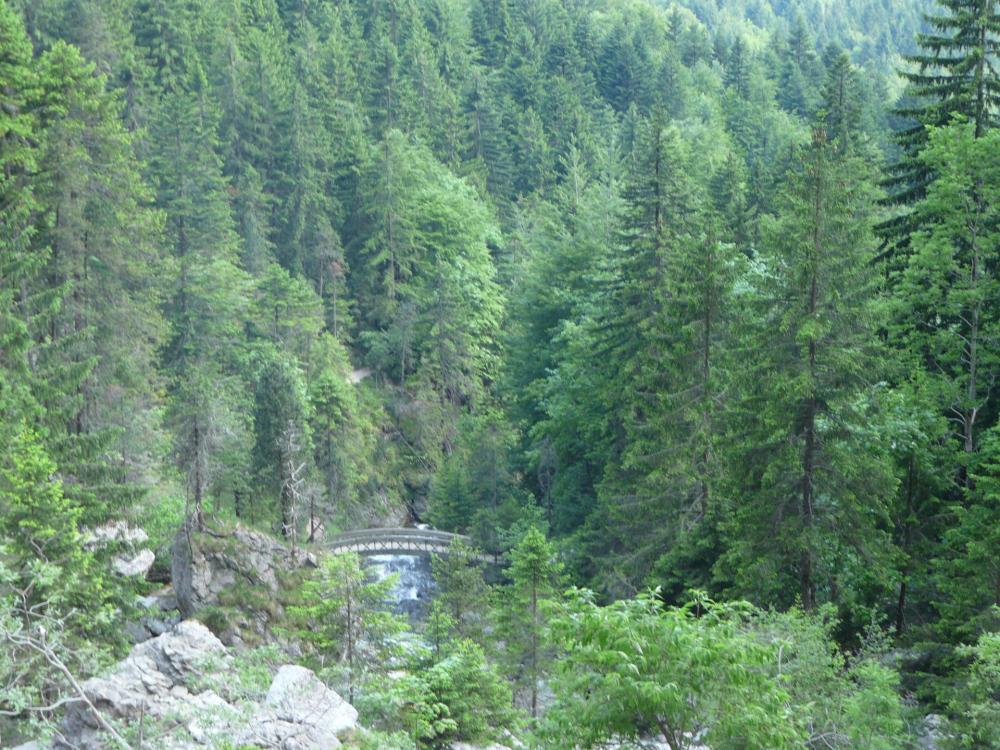 La passerelle sur le Guiers vif