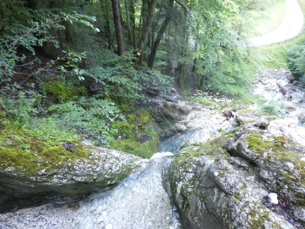 le pont de singe de la cascade des Nants vu en contrebas