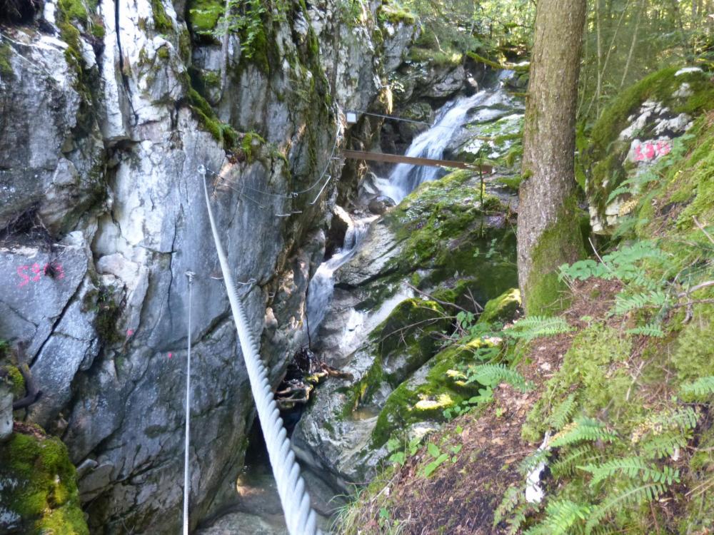 Pour finir, un petit pont de singe  en cadeau (!) à la via de la cascade à bellevaux