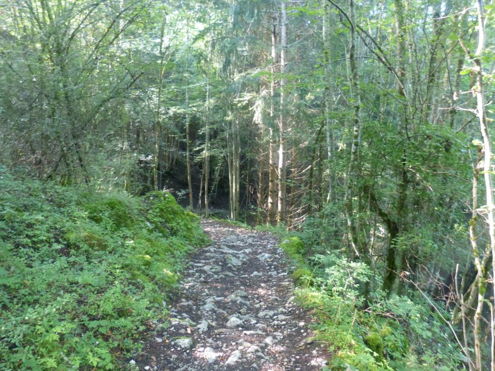 le chemin de descente de la via de la cascade, suit cette dernière et revient à la route