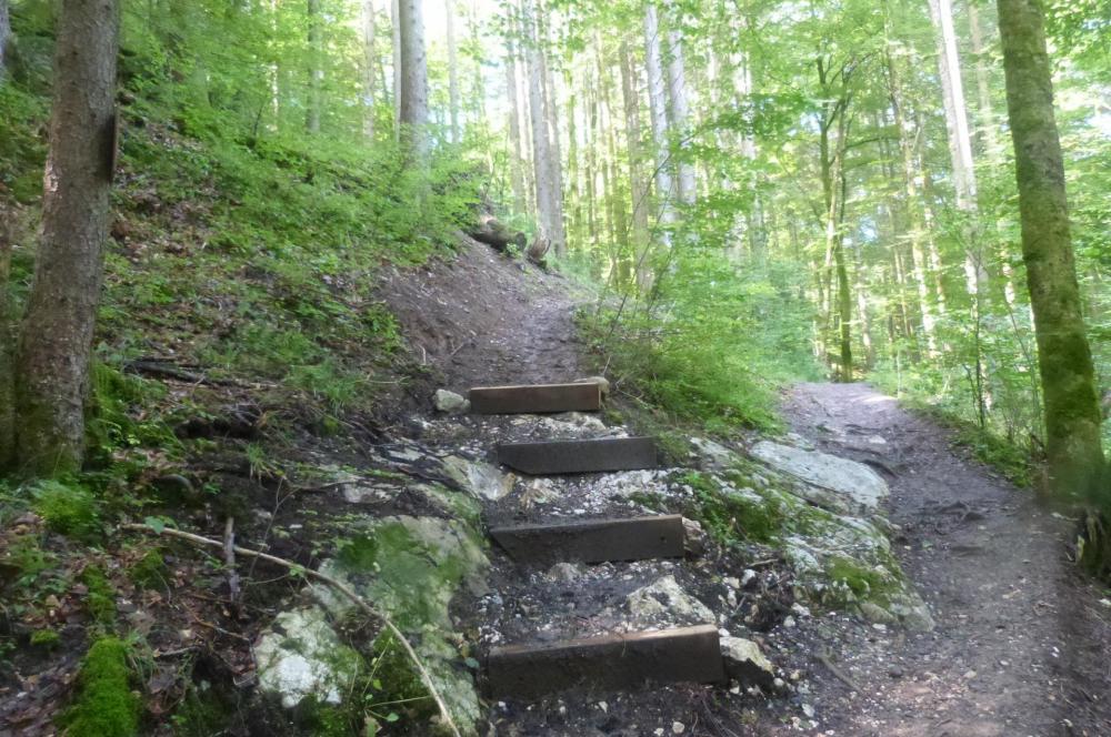 Juste après le pont à gauche direction secteur Chatelard et Baume, tout droit la cascade