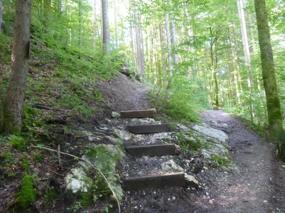 Juste après le pont à gauche direction secteur Chatelard et Baume, tout droit la cascade