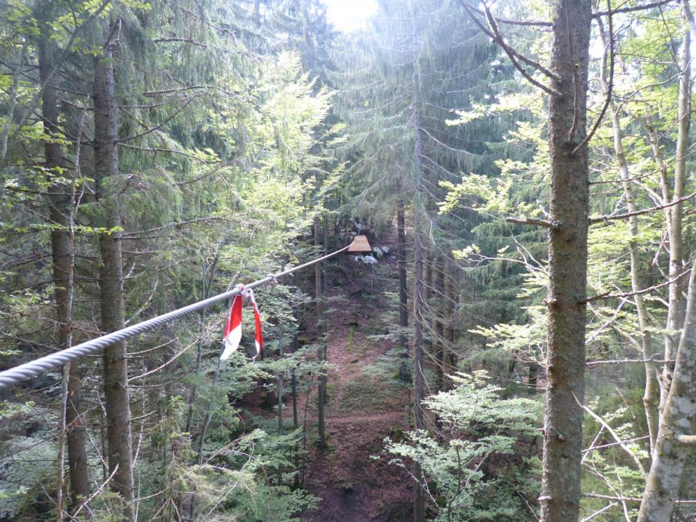 Belle tyrolienne en forêt quoique très similaire aux tyroliennes des parcs aventure (?)