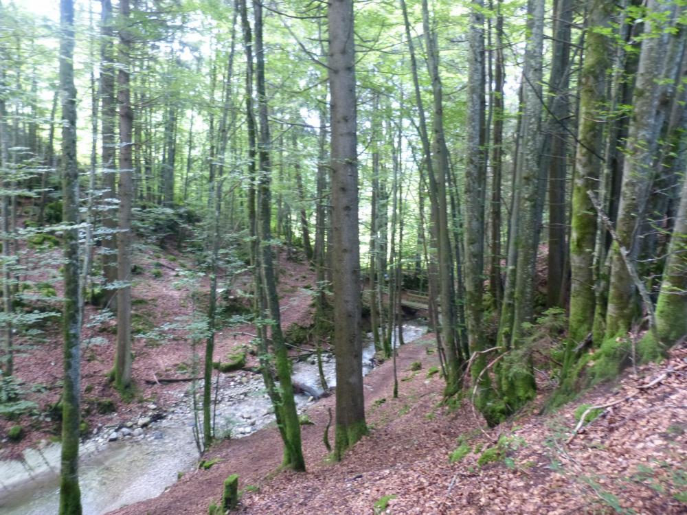 Sentier de retour des vias du Chatelard et Baume, qui passe par le petit pont pour rejoindre la sortie de la via de la cascade.