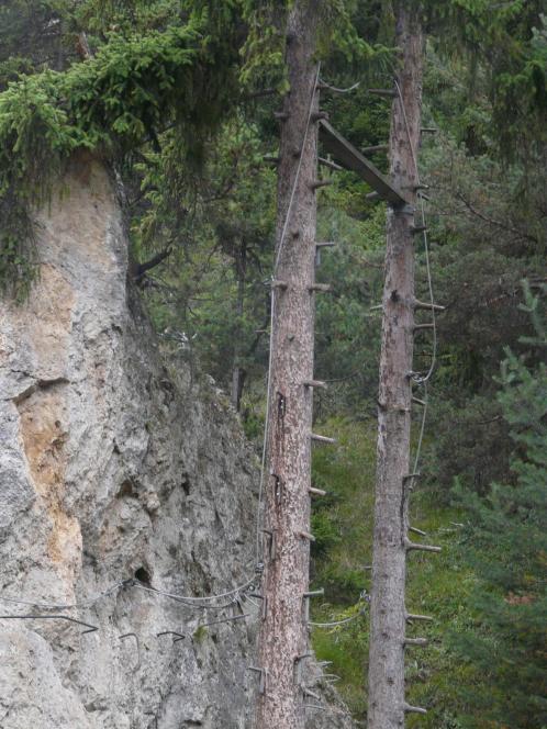 grimpée dans les arbres (via ecole buissonière d' Aussois)