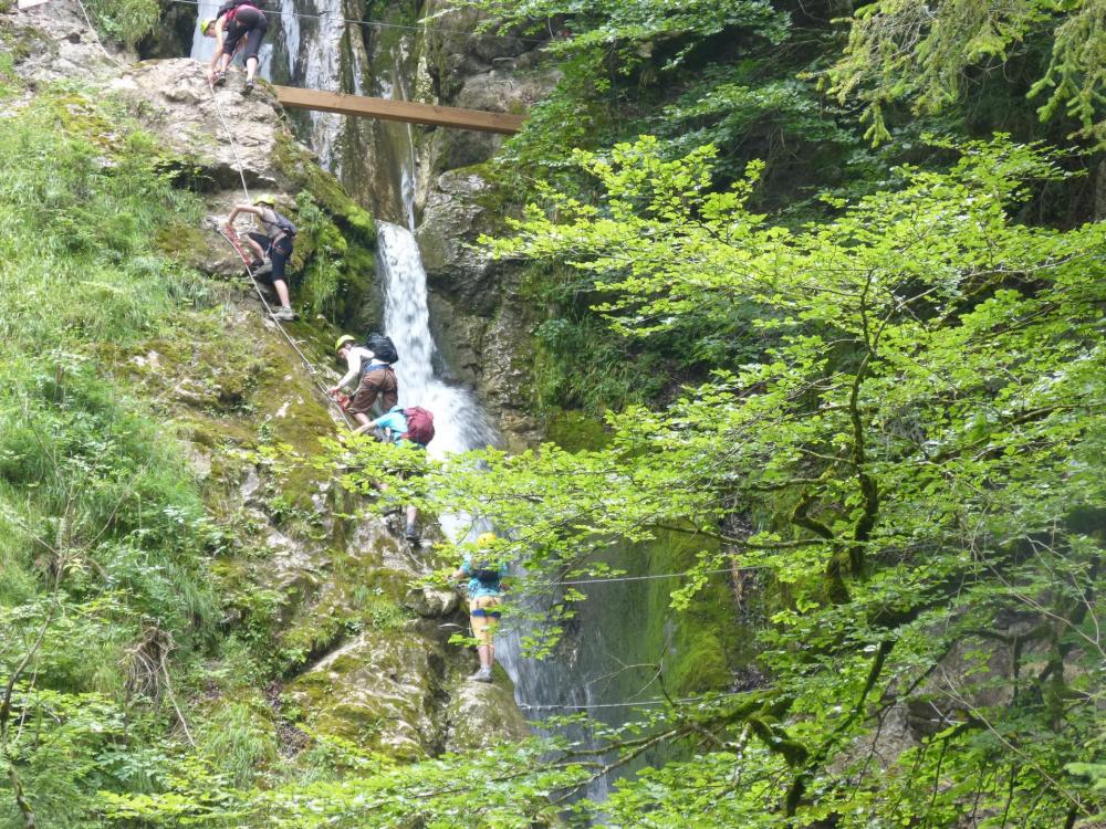 Un premier pont de singe à la via de la cascade des Nants à bellevaux