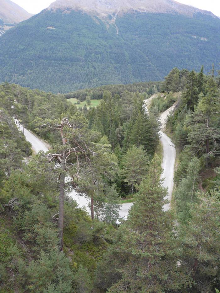 Du sommet on voit bien le chemin d' accès