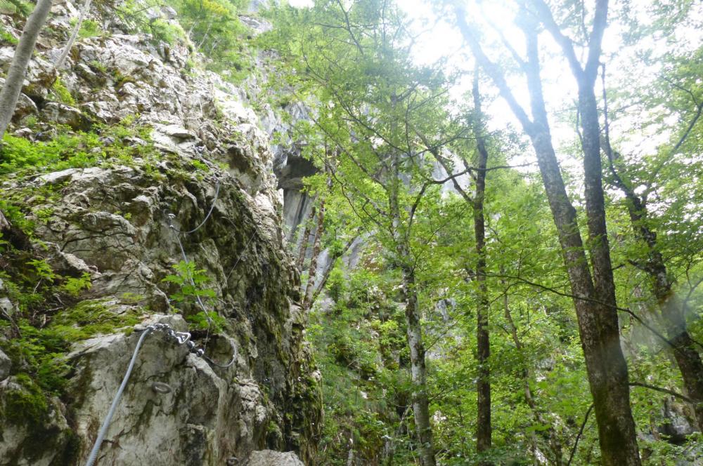 Via ferrata de la grotte de cristal à Bellevaux, première partie verticale et sans difficulté en forêt