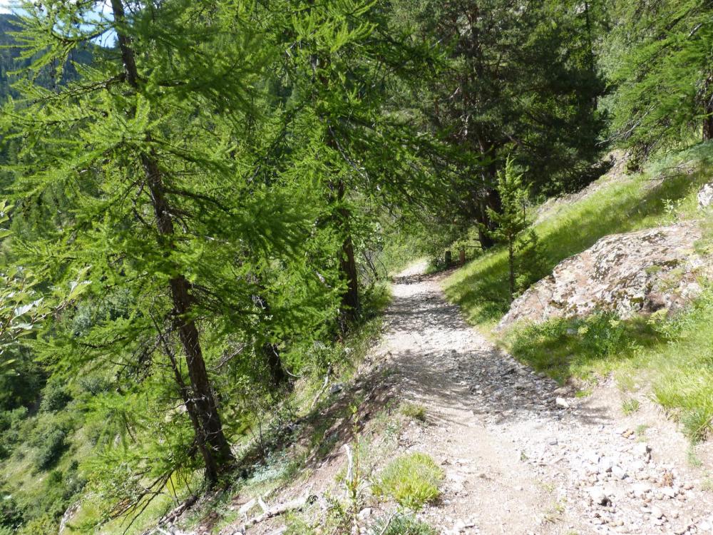 le sentier botanique qui sert de retour