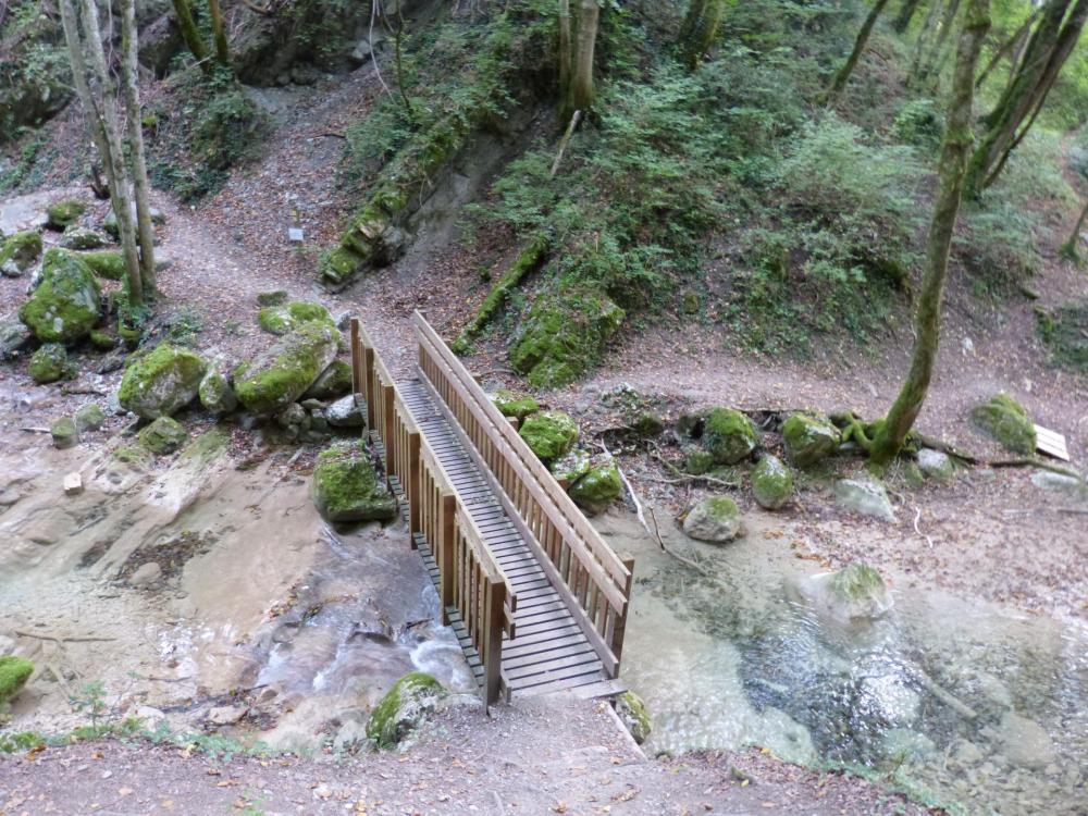 les passerelles sur le torrent-ruisseau de  l' alloix