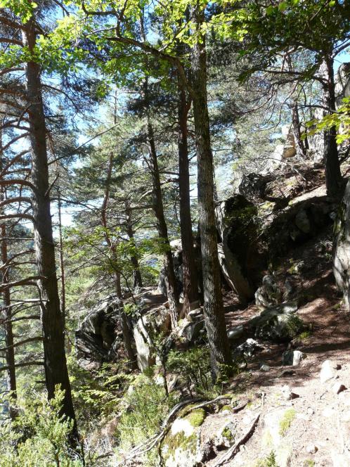 le chemin de retour du roc d'Esquers