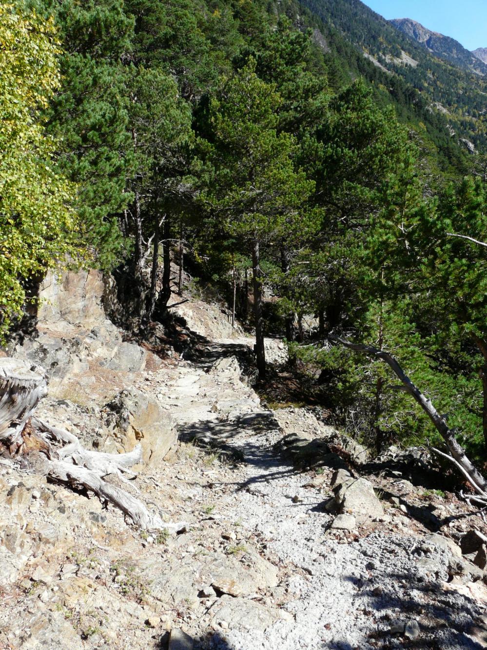 le chemin de retour du roc d' Esquers