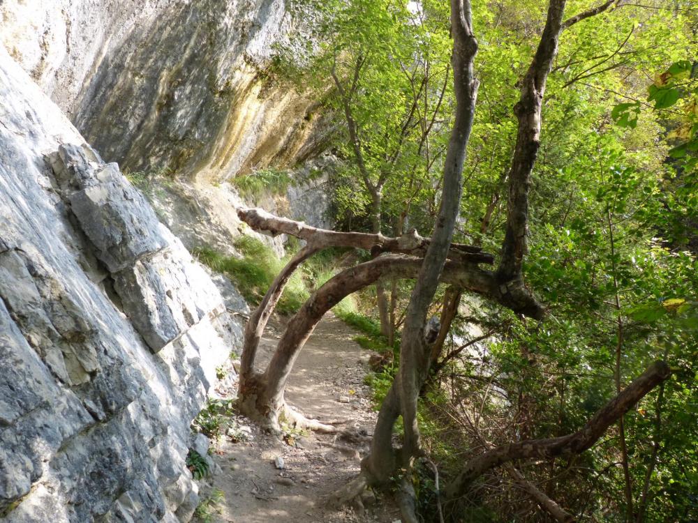 le sentier va passer sous la grande cascade de St Vincent de Mercuze