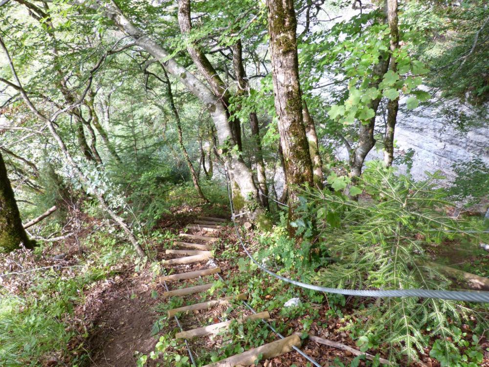 descente vers le torrent, via de St Vincent de Mercuze